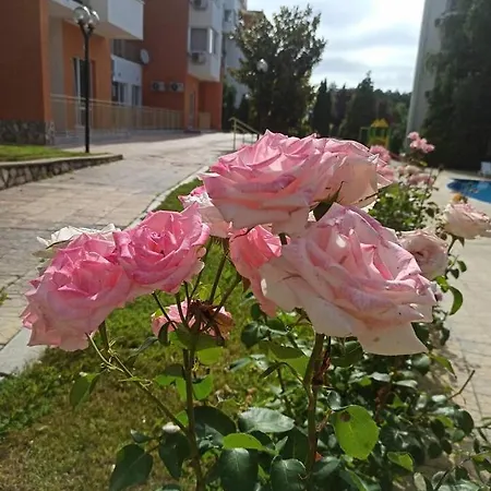 Rose An With The View At The Sea, Svieti Vlas, Bulgaria דירה סבטי ולאס